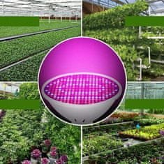 Verkgroup 200 LED UV lampa za rast biljaka 10W