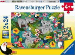 Ravensburger slagalica, koale i ljenjivci, 2 x 24