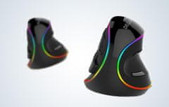 Delux Ergonomski vertikalni optički miš 4000DPI LED RGB