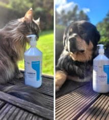 Irodori Vet Irodori Vet lososovo ulje za pse i mačke 1000ml