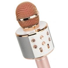 Forever BMS-300 Mikrofon & Zvučnik, Bluetooth, USB, microSD, AUX-in