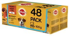 Pedigree Vital Protection vrećica mesa u želeu za odrasle pse, 48 x 100 g