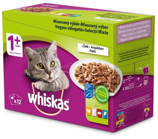 Whiskas hrana za mačke, miješani izbor u želeu, 48 pack