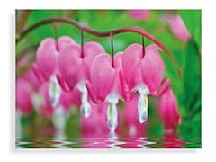 Innova Krvava srca Cvijeće Staklena umjetnost 60x80