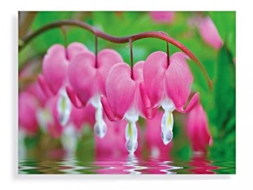 Innova Krvava srca Cvijeće Staklena umjetnost 60x80