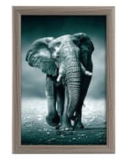 Goldbuch TOSCANA GREY MDF okvir A4 i sl