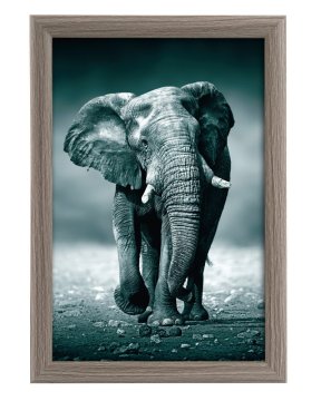 Goldbuch TOSCANA GREY MDF okvir A4 i sl