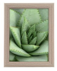 Goldbuch TOSCANA TAUPE MDF okvir 15x20 smeđi