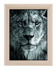 Goldbuch TOSCANA NATURE MDF okvir 13x18 ff