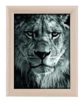 Goldbuch TOSCANA NATURE MDF okvir 15x20 smeđi