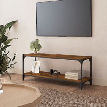 Vidaxl TV stalak dimljeni hrast 100x33x41 cm