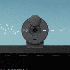 Logitech Brio 300 kamera, USB, grafitna (960-001436)