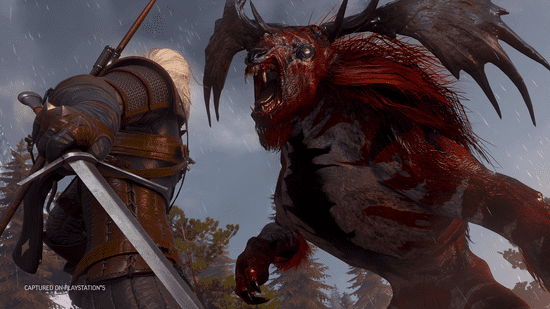 Witcher psn hotsell