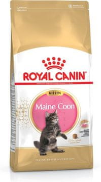ROYAL ROYAL CANIN Maine Coon Kitten - Suha hrana za mačke - 4 kg
