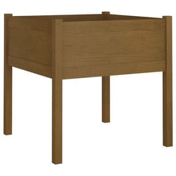 Vidaxl Vrtna sadilica smeđa boja meda 70x70x70 cm od masivne borovine