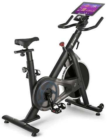 Capital Sports Evo Race Cardiobike sobni bicikl, siva