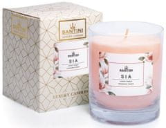 Santini Luksuzna svijeća - Sia, 200g