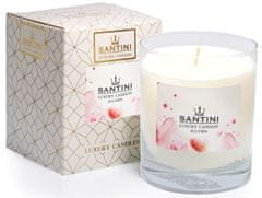 Santini Luksuzna svijeća - Julvien, 200g