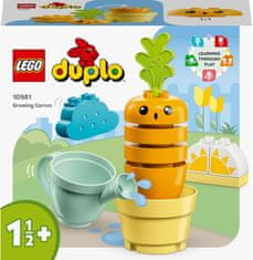 LEGO DUPLO 10981 Uzgoj mrkve