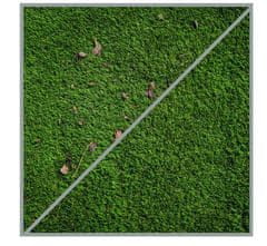 Einhell Soft četka, za drvo i umjetnu travu (3424121)