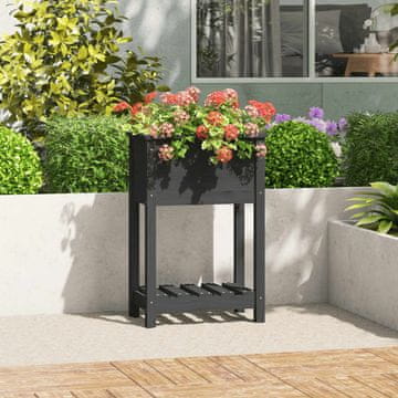 Vidaxl Žanjica s policom, siva, 54x34,5x81 cm, masivno borovo drvo