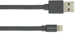 Canyon MFI-2 Lightning kabel, 12 W, 1 m, tamno siva (CNS-MFIC2DG)