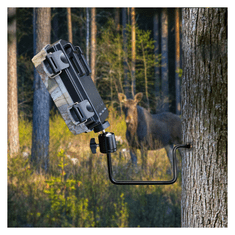 Braun Phototechnik nosač za stablo za Scouting kamere, 6,3 mm (1/4")