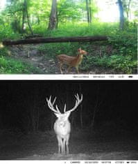 Secutek Mini WiFi lovačka kamera SST-WiFi301 - 24MP, IP66