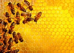 Ravensburger slagalica Challenge Puzzle: Pčelinje saće, 1000 komada