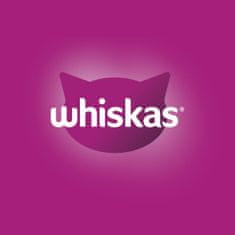 Whiskas mačja hrana u želeu Casserole, 48 komada